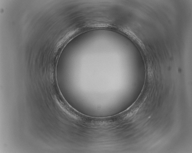 X0000071830533200607141702