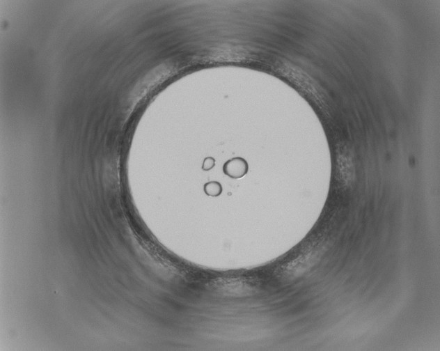 X0000071830534200607141702