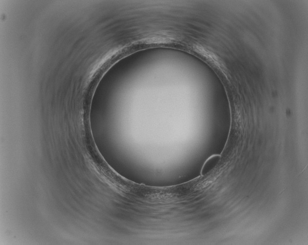 X0000071830535200607141702