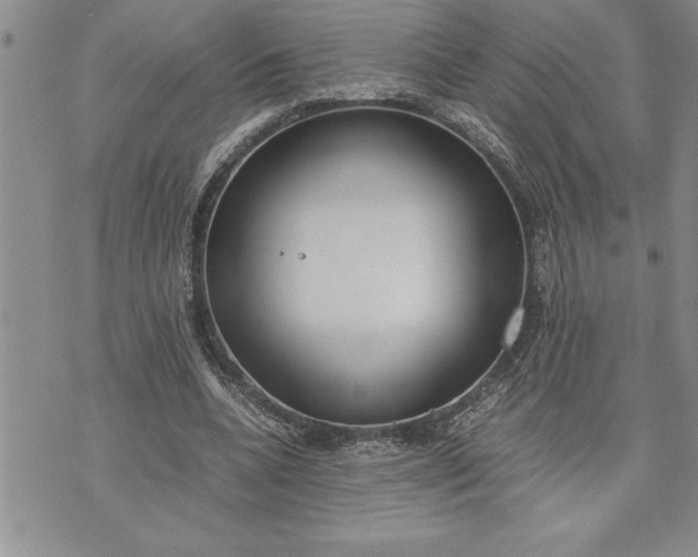 X0000071830536200607141702