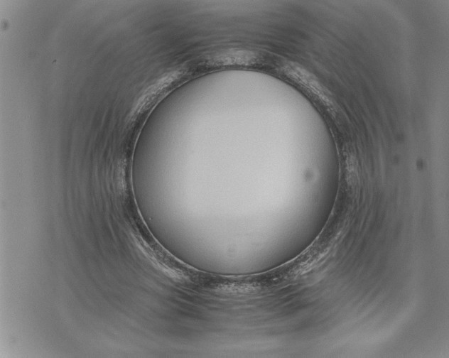 X0000071830537200607141702