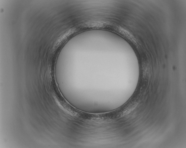 X0000071830538200607141702