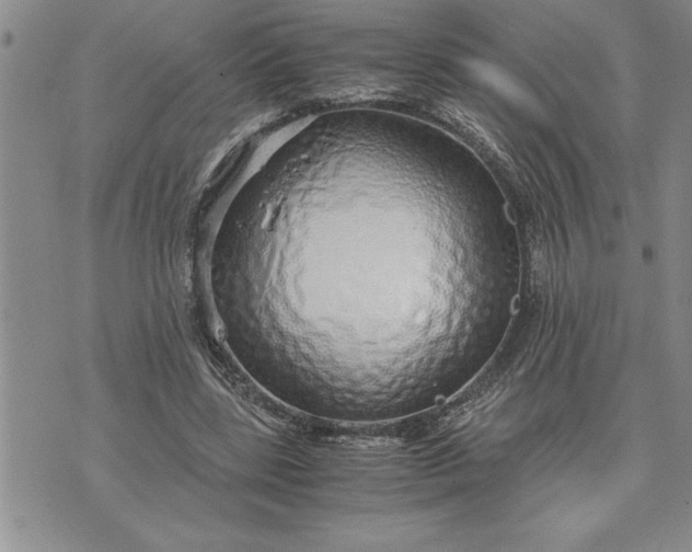 X0000071830539200607141702