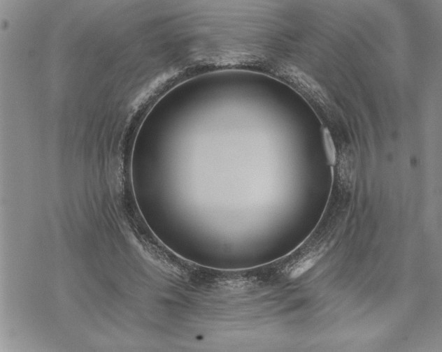 X0000071830540200607141703