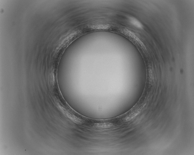 X0000071830541200607141703