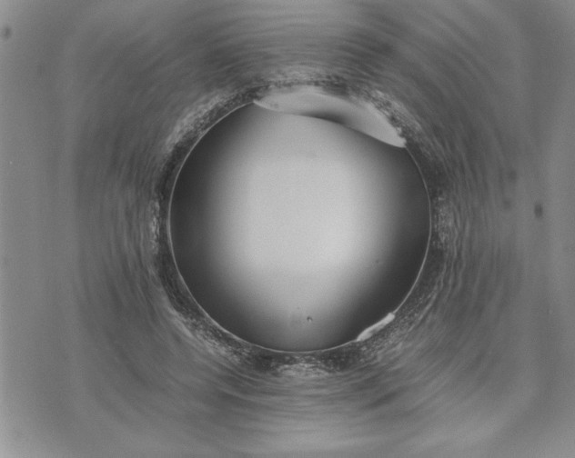 X0000071830544200607141703