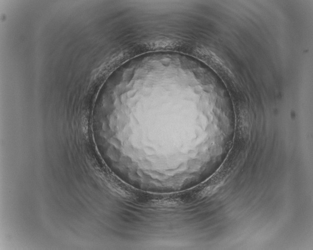 X0000071830545200607141703