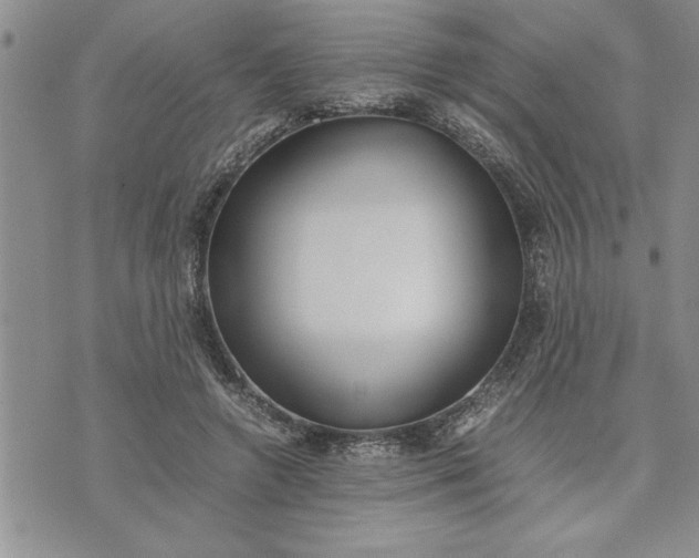 X0000071830546200607141703