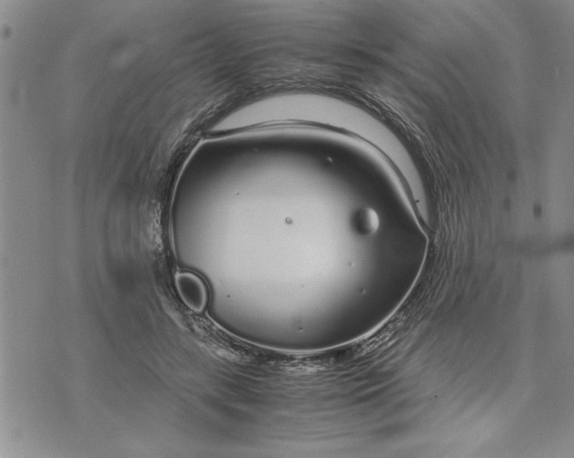 X0000071830547200607141703