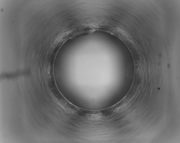 X0000071830548200607141703