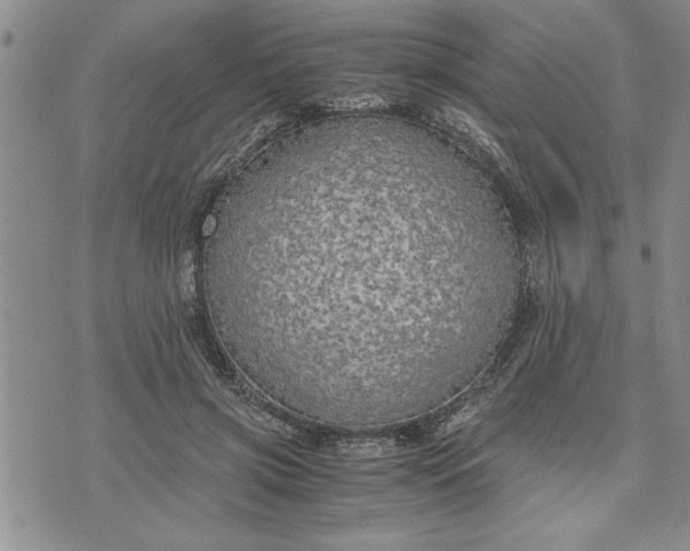 X0000071830549200607141703