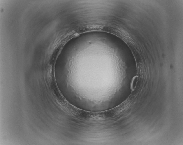 X0000071830550200607141703