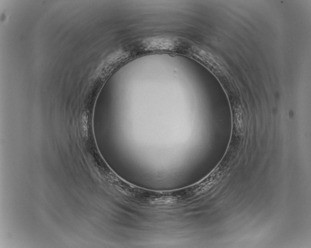 X0000071830551200607141703