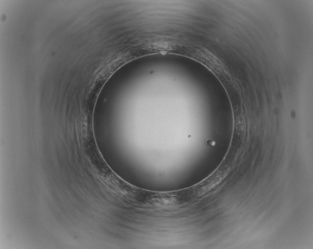 X0000071830552200607141703