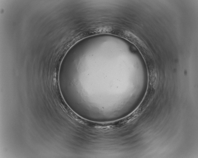 X0000071830553200607141703