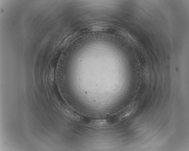 X0000071830554200607141703