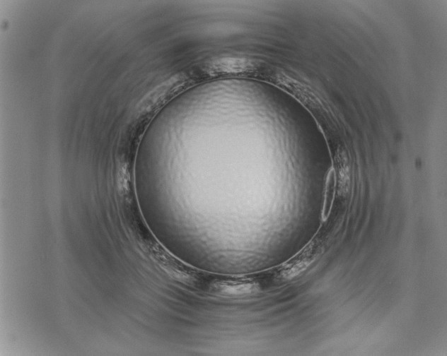 X0000071830555200607141703