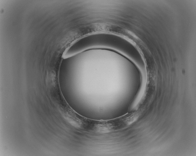 X0000071830556200607141703