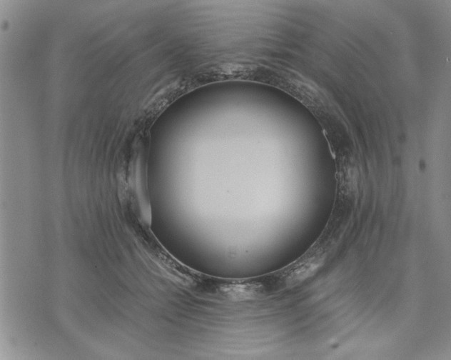 X0000071830558200607141703