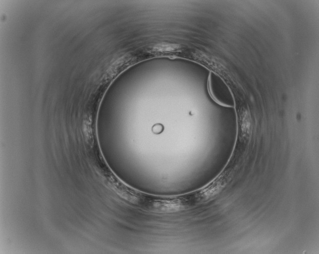 X0000071830559200607141703