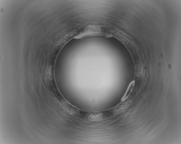 X0000071830560200607141703