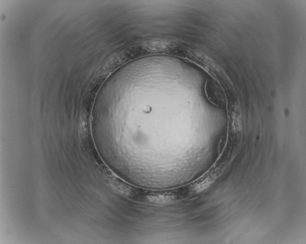 X0000071830561200607141703