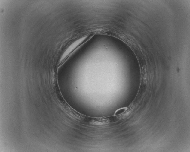 X0000071830563200607141703