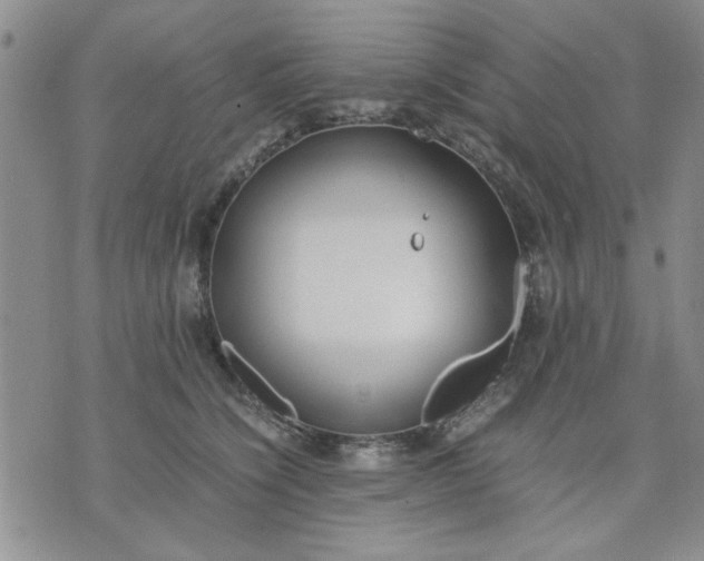 X0000071830564200607141703