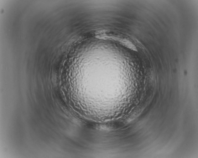 X0000071830565200607141703