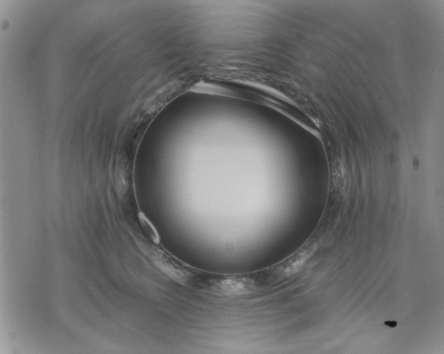 X0000071830566200607141703