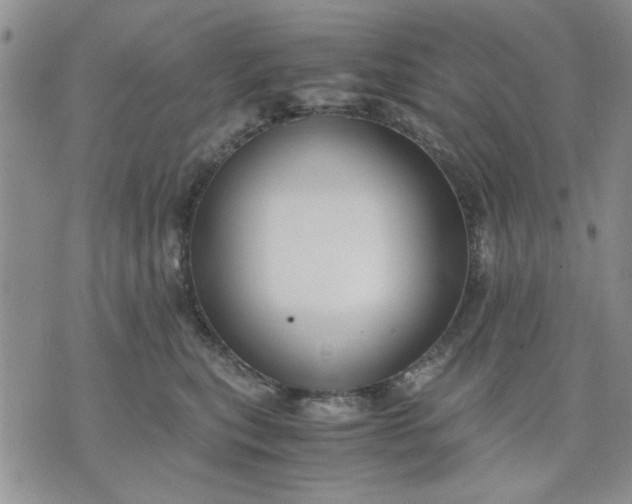 X0000071830567200607141703