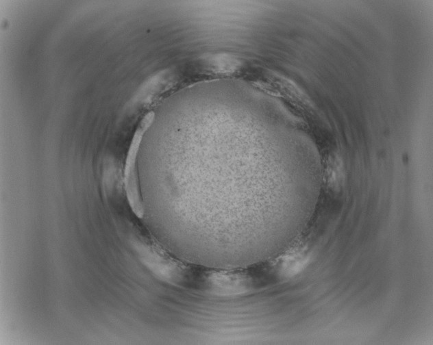 X0000071830568200607141703