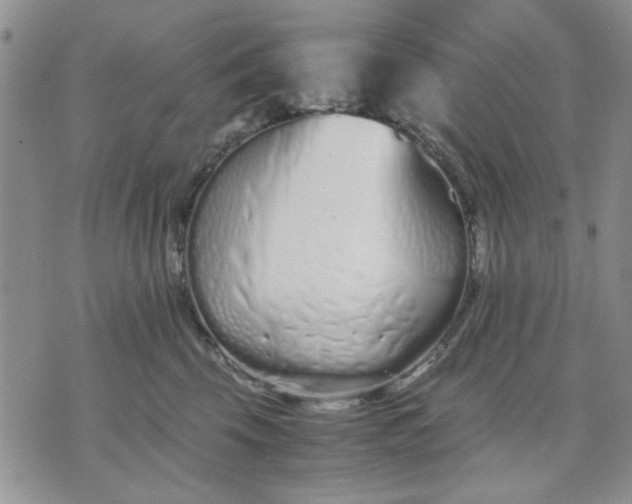 X0000071830569200607141703