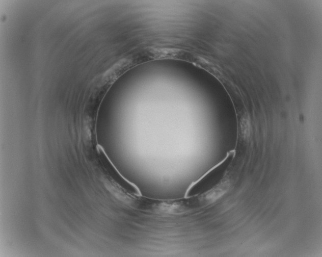 X0000071830570200607141703