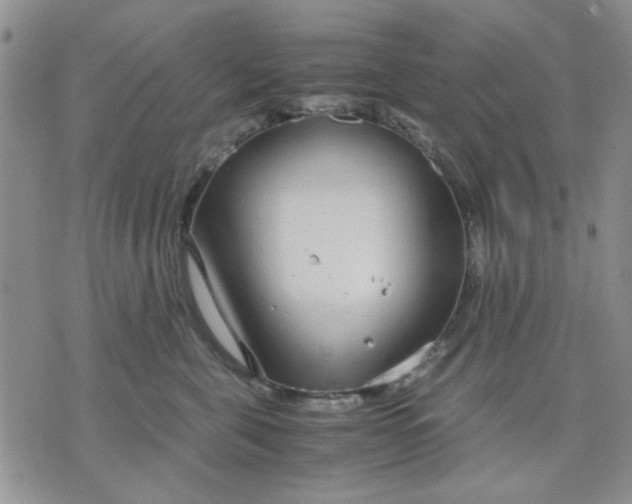 X0000071830571200607141703