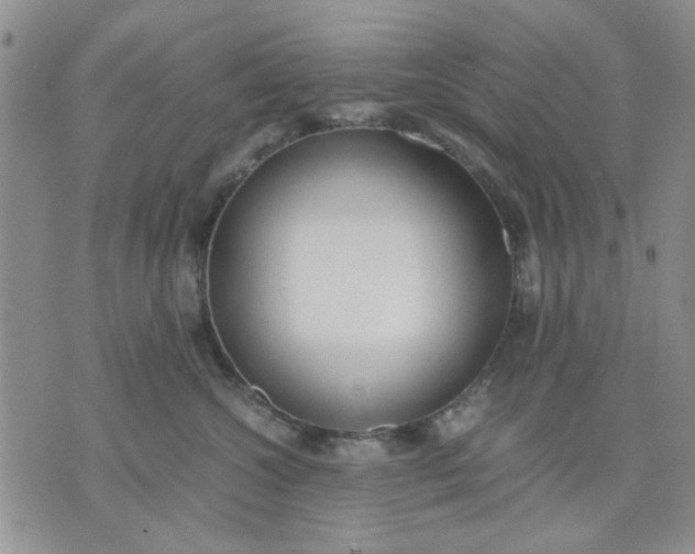 X0000071830572200607141703