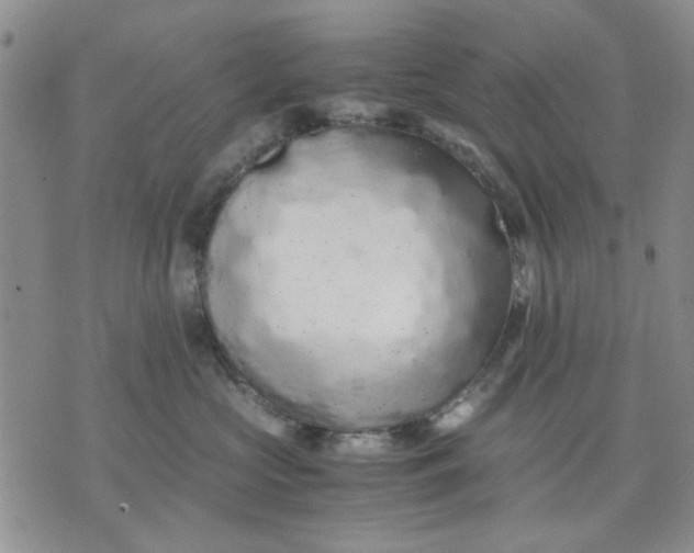 X0000071830573200607141703