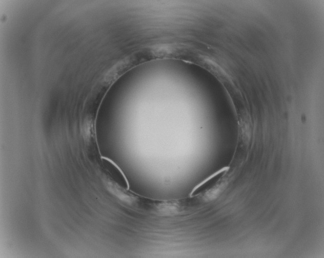 X0000071830574200607141703