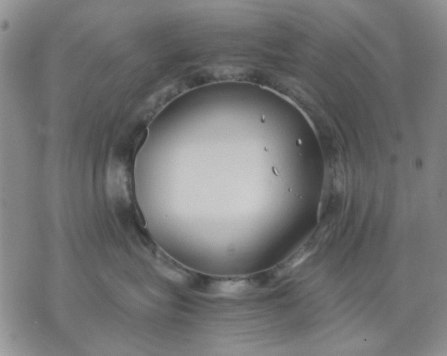 X0000071830575200607141703