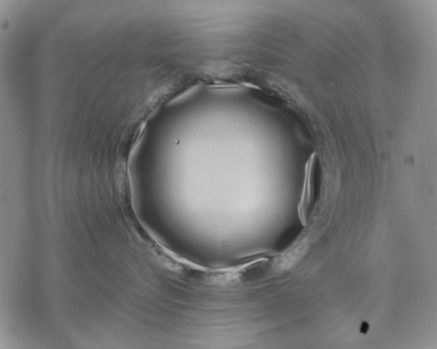 X0000071830576200607141703