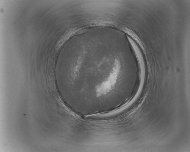 X0000071830577200607141702