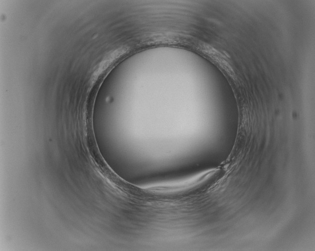 X0000071830578200607141702