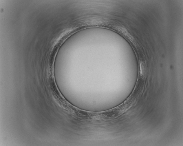 X0000071830579200607141702