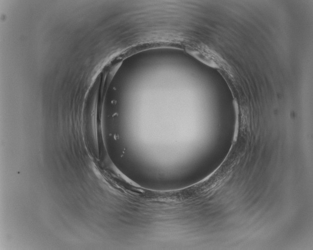 X0000071830580200607141702