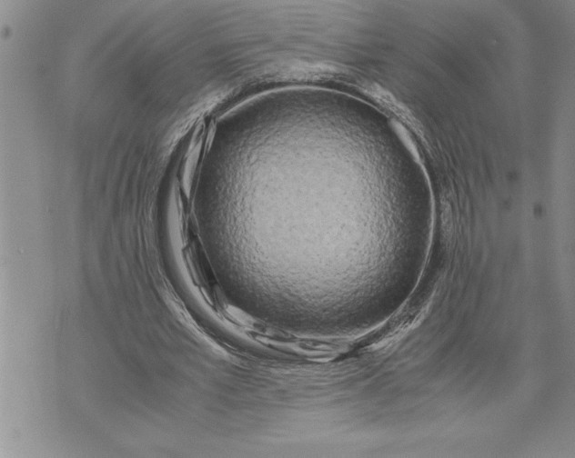 X0000071830581200607141702