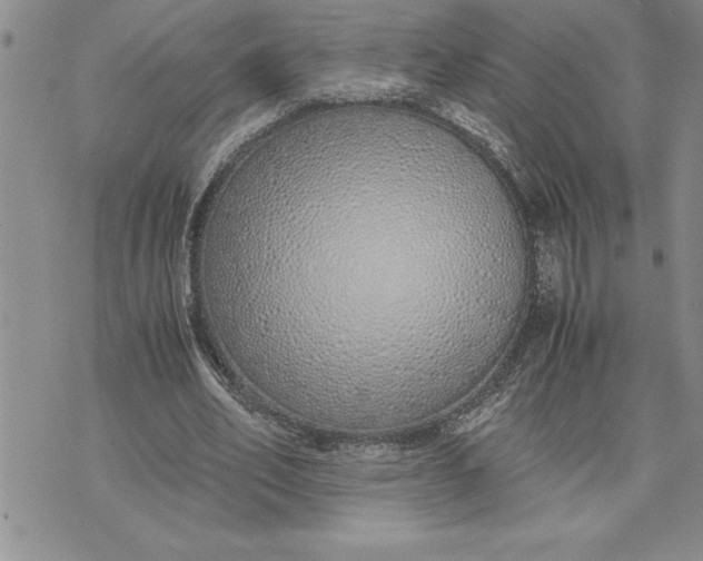 X0000071830582200607141702