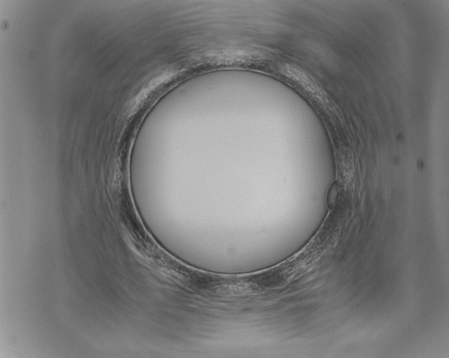 X0000071830583200607141702