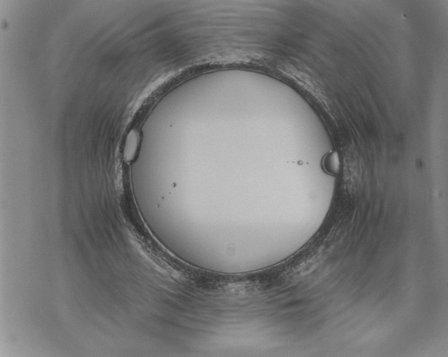 X0000071830584200607141702