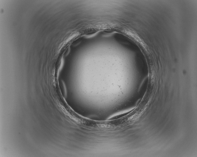 X0000071830585200607141702