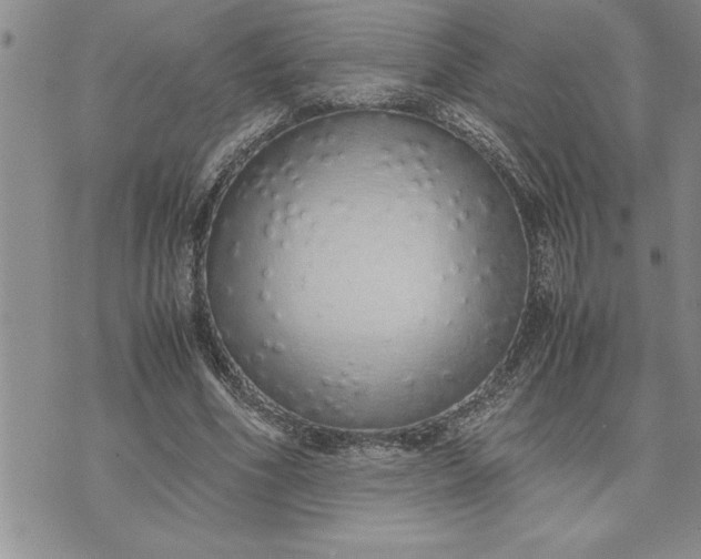 X0000071830586200607141702